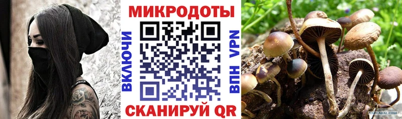 Галлюциногенные грибы мицелий Коммунар